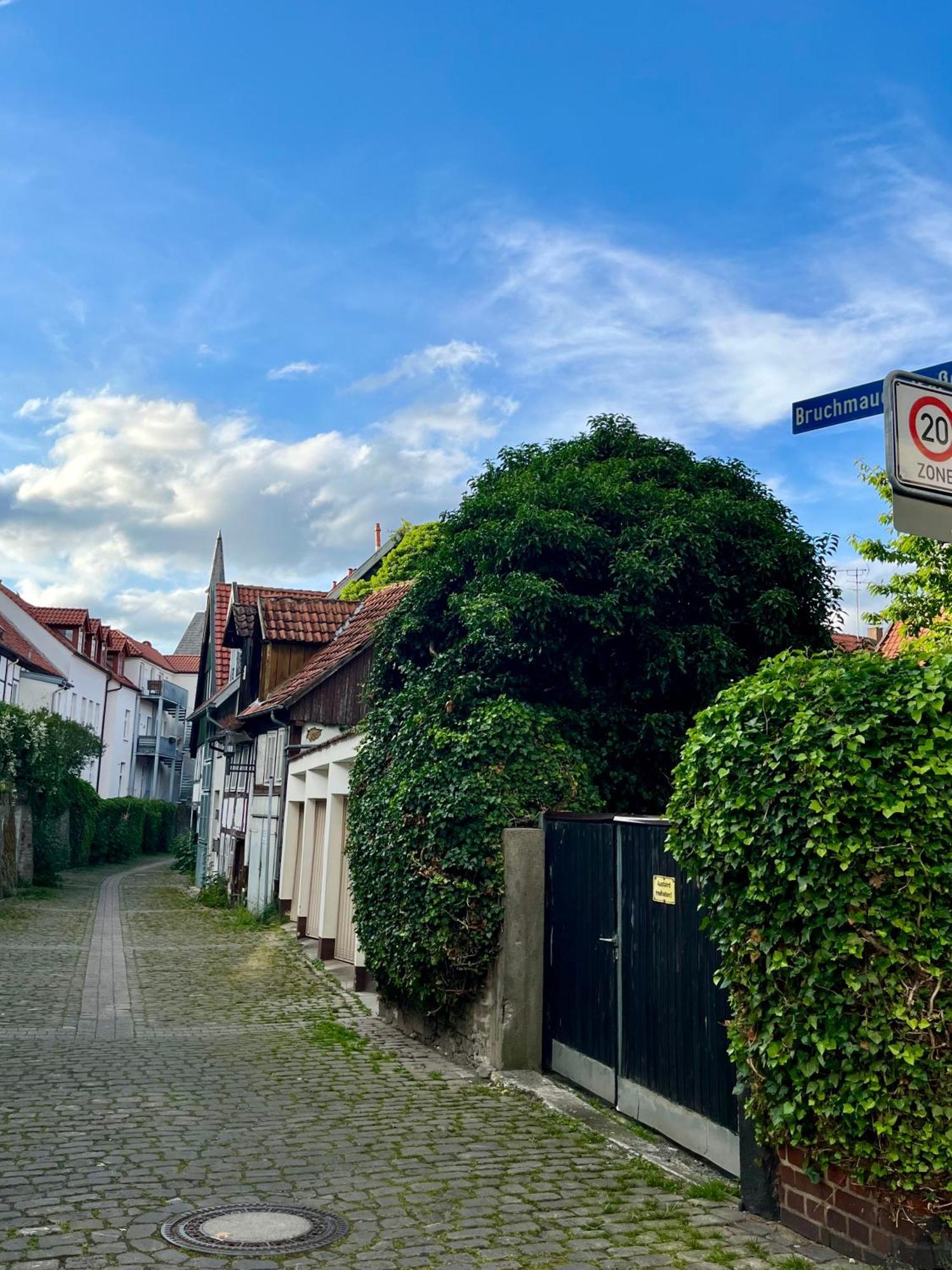 Goldloeckchen - Gemuetliches 80 Qm Apartment Im Herzen Der Detmolder Innenstadt Exterior foto